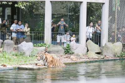 China out of Asia's wildlife survey for pandemic controls, says UN official - Vimarsana News