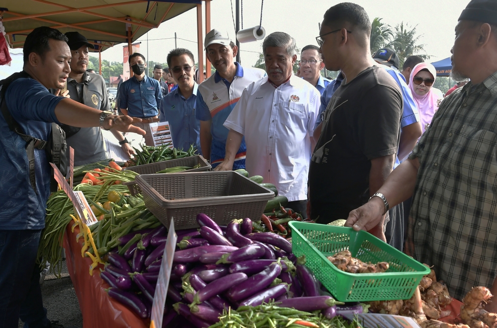 Minister Datuk Seri Mohamad Sabu said the country’s agricultural stock is still under control, and the Agriculture and Food Security Ministry would ensure adequate supply of daily necessities. — Bernama pic