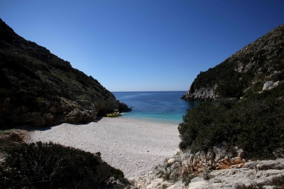 Albania pushes out boat to save world's rarest seal - Vimarsana News