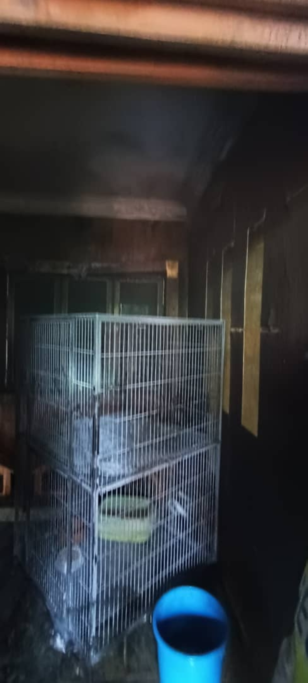 The fire originated from inside the room where cats were kept. — Picture courtesy of the Selangor Fire and Rescue Department