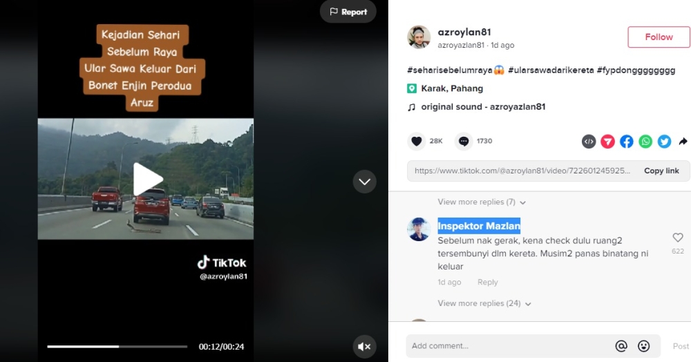 A snake momentarily stopped traffic on the highway after it fell from the engine compartment of a SUV. -- Screen capture from TikTok/ azroylan81