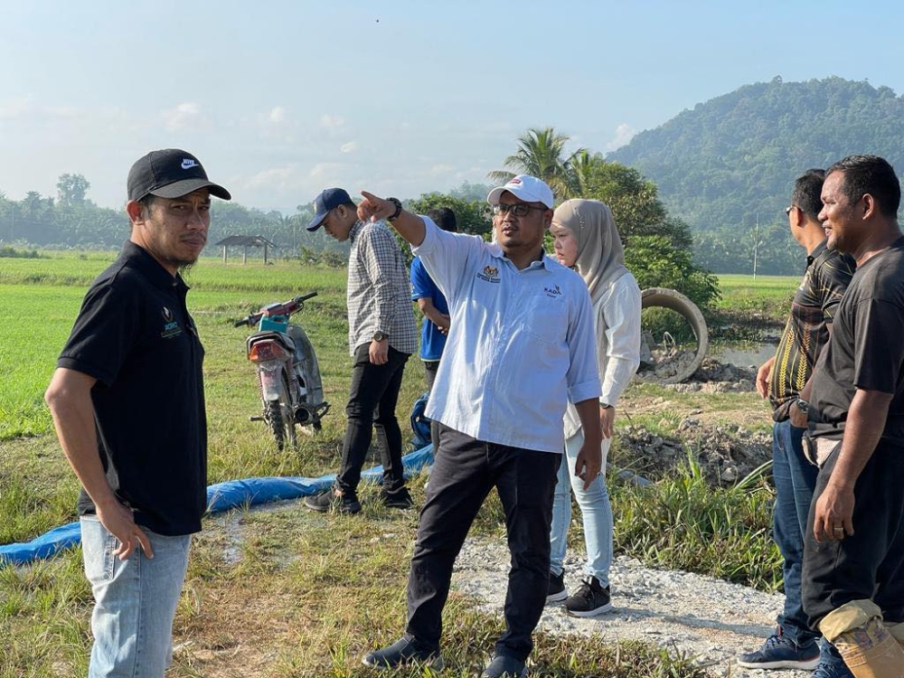 Kemubu Agricultural Development Authority general manager Mohd Faizul Mustafa (centre) said that the current hot weather has dried up the fields, hardened the soil and stunted the growth of the crops. — Picture via Facebook/Kada