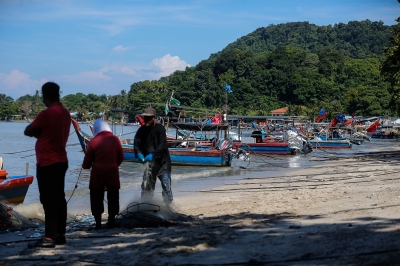 Green group wants Penang govt to scrap, not scale down artificial island project - Vimarsana News