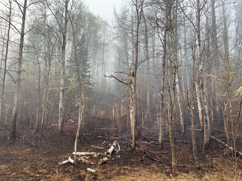 Burned land is seen following fires in Shining Bank, Alberta, Canada May 11, 2023. — AFP pc