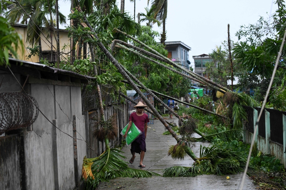 A local resident walks past the fallen trees after Cyclone Mocha’s crashed ashore in Kyauktaw. — AFP pic