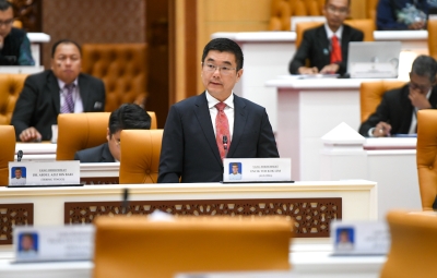 Perak increase effort to protect Malayan Tiger, more patrolling and enforcement - Vimarsana News