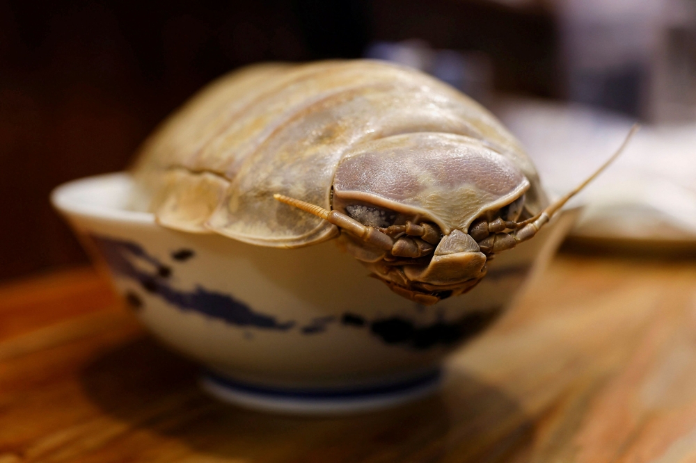 The giant isopod ramen is seen in a restaurant in Taipei, Taiwan May 27, 2023. — Reuters pic