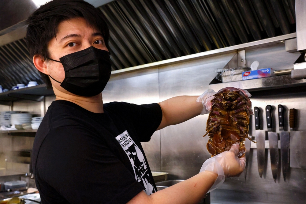 Hu, the owner of the restaurant, holds the giant isopod in the kitchen in Taipei, Taiwan May 27, 2023. — Reuters pic