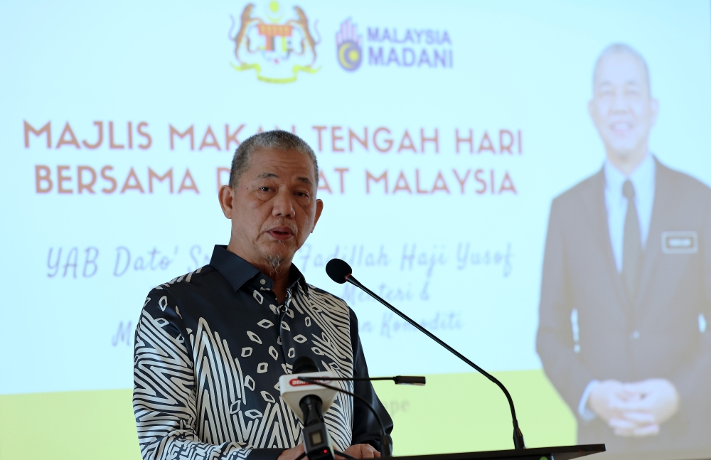 Deputy Prime Minister and Plantation and Commodities Minister Datuk Seri Fadillah Yusof delivers a speech during a luncheon with the Malaysian diaspora in Brussels May 29, 2023. — Bernama pic