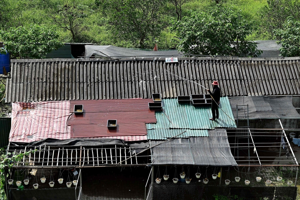 This photo taken on May 30, 2023 shows a woman watering her rooftop to cool down the heat in Hanoi. — AFP pic
