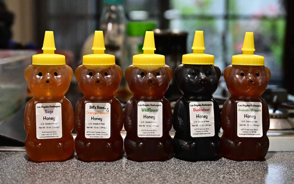 A sample of different kinds of honey from Los Angeles beekeepers are seen in Pasadena, California, on May 31, 2023. — AFP pic 