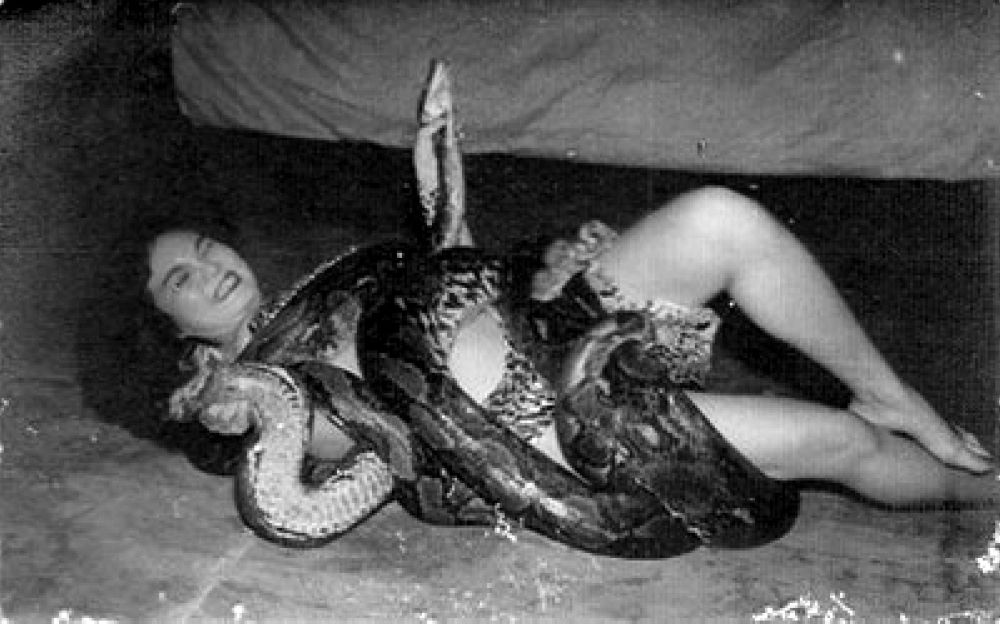 Chan wrestling with pythons in her heyday — years later in her 60s, she attributed the blood clots around her body to the python-coiling acts. — Picture courtesy of Cecil Rajendra