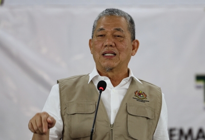 DPM Fadillah promotes Malaysian palm oil in EU, keeping the trade doors open for smallholders - Vimarsana News