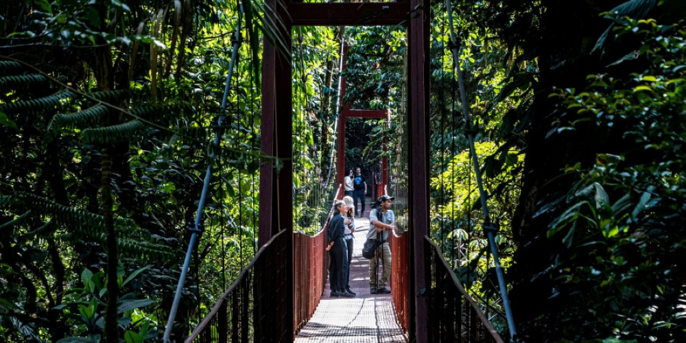 Tourists look for birds at the Monteverde Cloud Forest Biological Reserve, in Puntarenas, Costa Rica, on May 23, 2023. — AFP pic