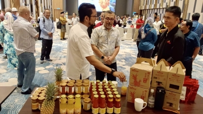 Pineapple Board says introducing new variety with better yield next month - Vimarsana News