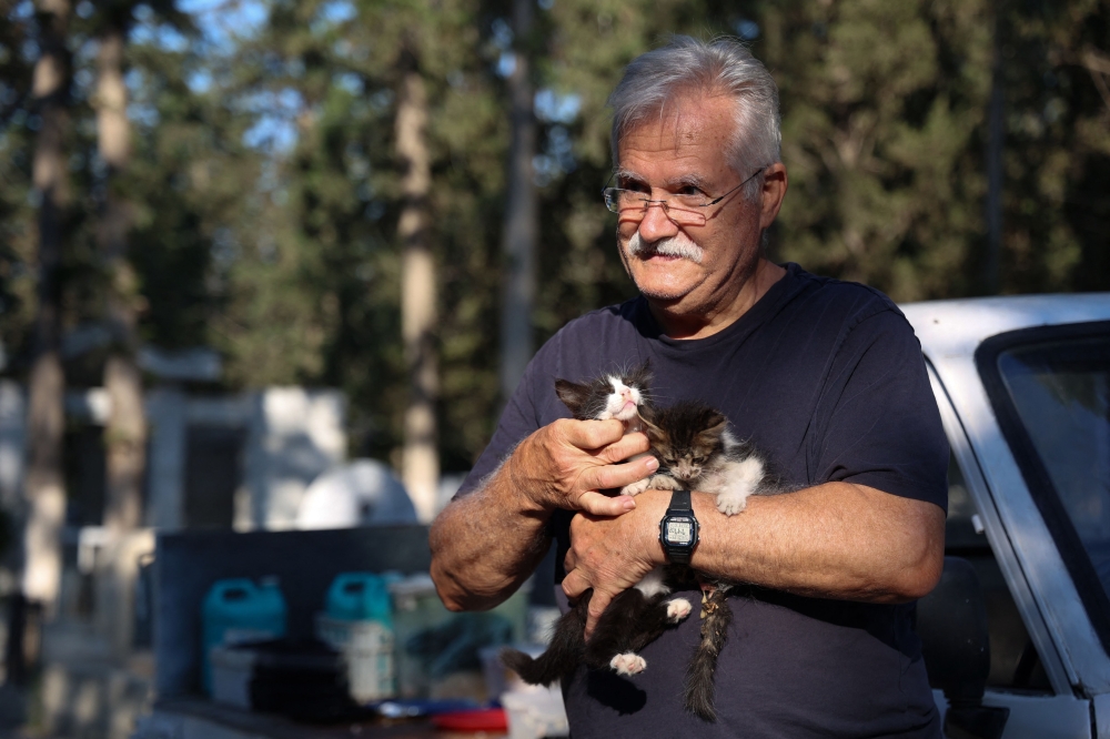 Dinos Agiomamitis, warga tua Cyprus yang telah memberi makan sekitar enam puluh kucing terbiar setiap pagi selama 25 tahun yang lalu, memegang anak kucing di salah satu tanah perkuburan terbesar di Nicosia, pada 14 Jun, 2023. — Gambar AFP
