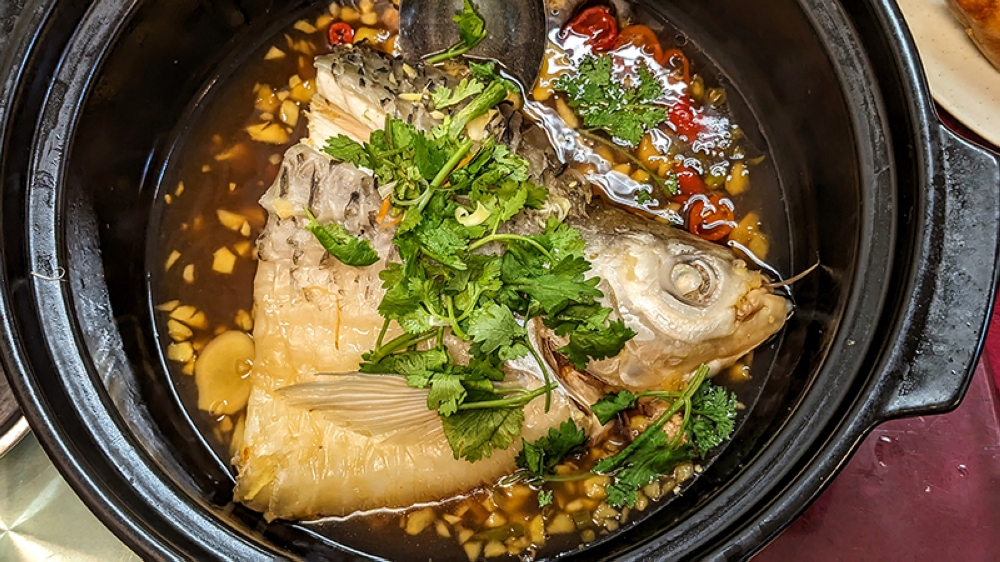 The Steamed Sultan Fish in Yellow Wine is a real gem of a dish, a must-order here at Fatt Hei Len Restaurant. — Pictures by Ethan Lau