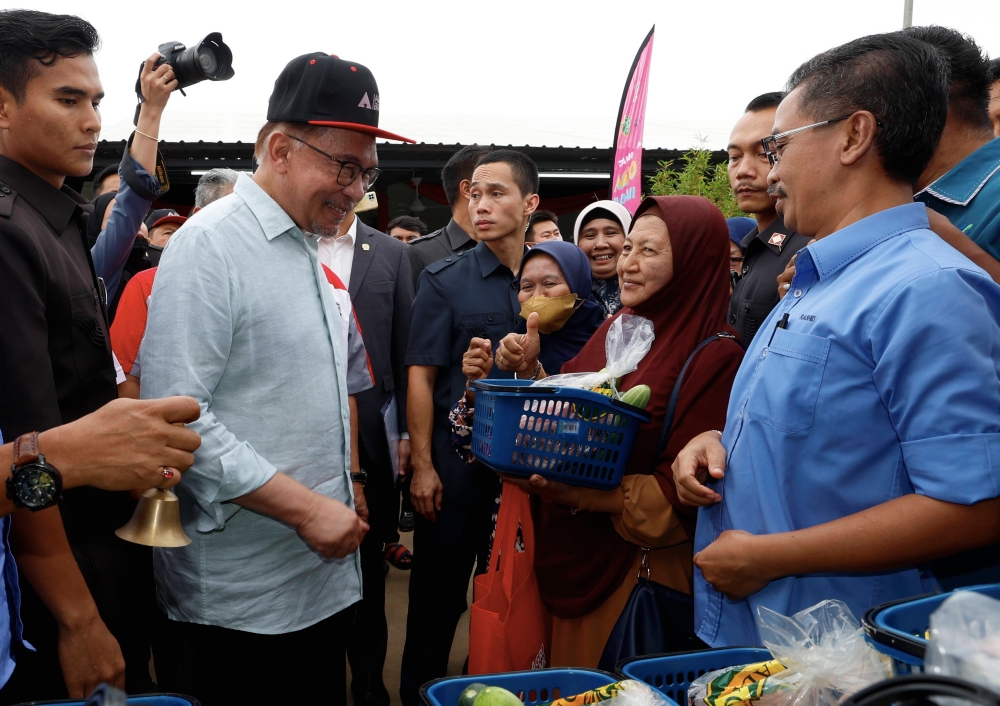Prime Minister Datuk Seri Anwar Ibrahim said the royal institution should be protected and respected by all. — Bernama pic   