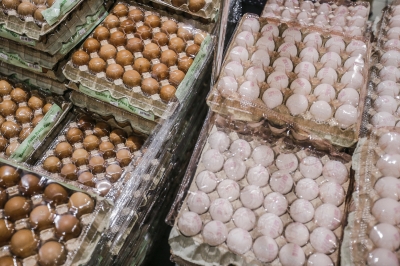 Mat Sabu: Supply of eggs and chicken recovers, no longer critical - Vimarsana News