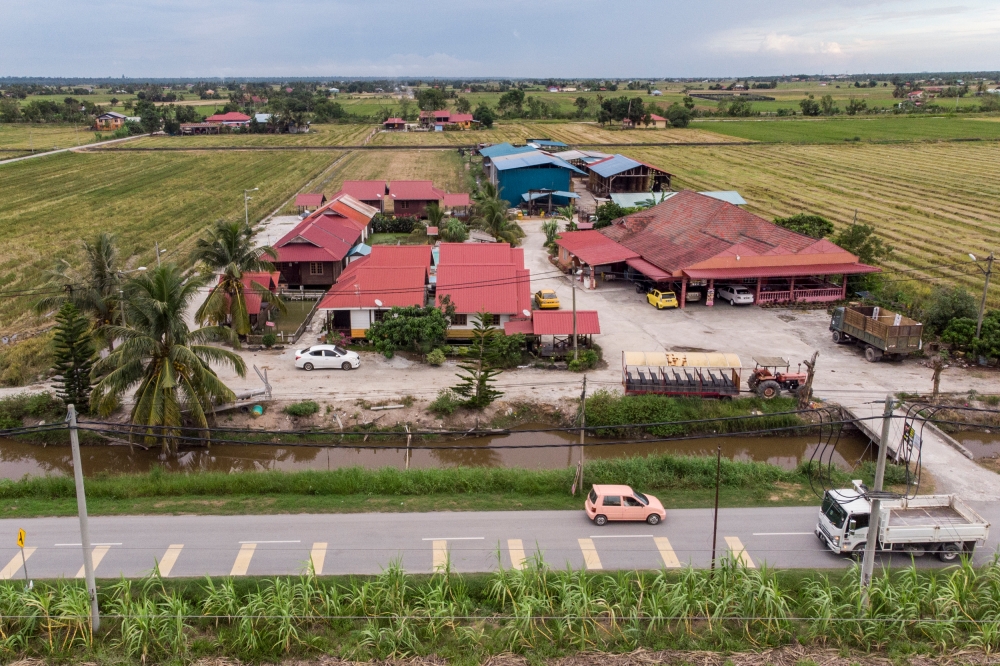 Homestays built by paddy farmers as an alternative source of income due to the dip in rice crops. — Picture by Hari Anggara