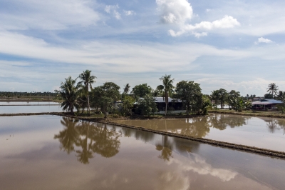 In Selangor's north, answers to shrinking harvests and empty nets could bait crucial Malay vote - Vimarsana News