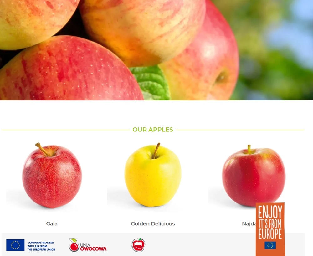  President of the Fruit Union Association Piotr Janota since Polish apples were introduced to the Malaysian market, the response has generally been very good. — Screencap from bestapples.eu