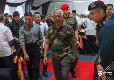 Agong: Wildlife conservation efforts in Malaysia must be strengthened - Vimarsana News