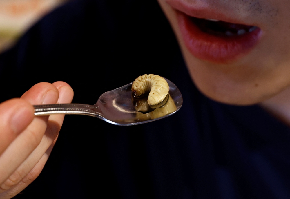 Shunnosuke Suga eats beetle larvae, as he eats Almond tofu with beetle larvae at Take-Noko cafe. — Reuters pic