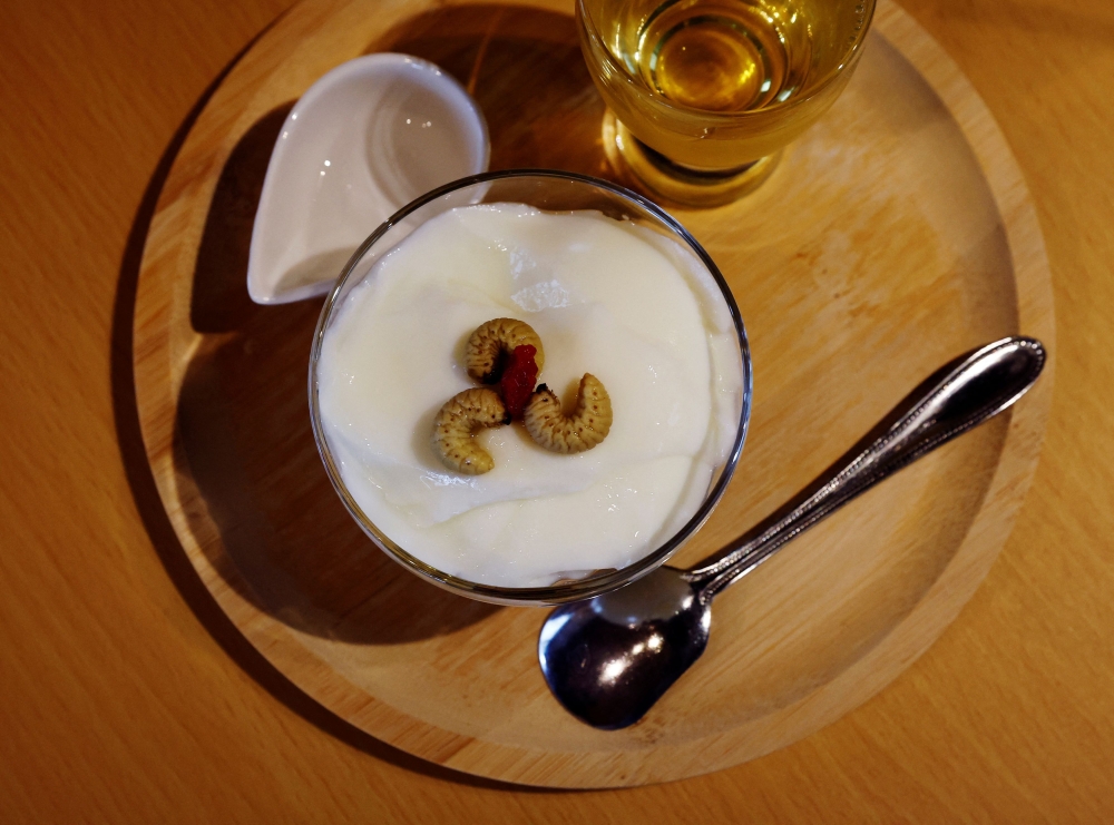 Almond tofu with beetle larvae is pictured at Take-Noko cafe. — Reuters pic