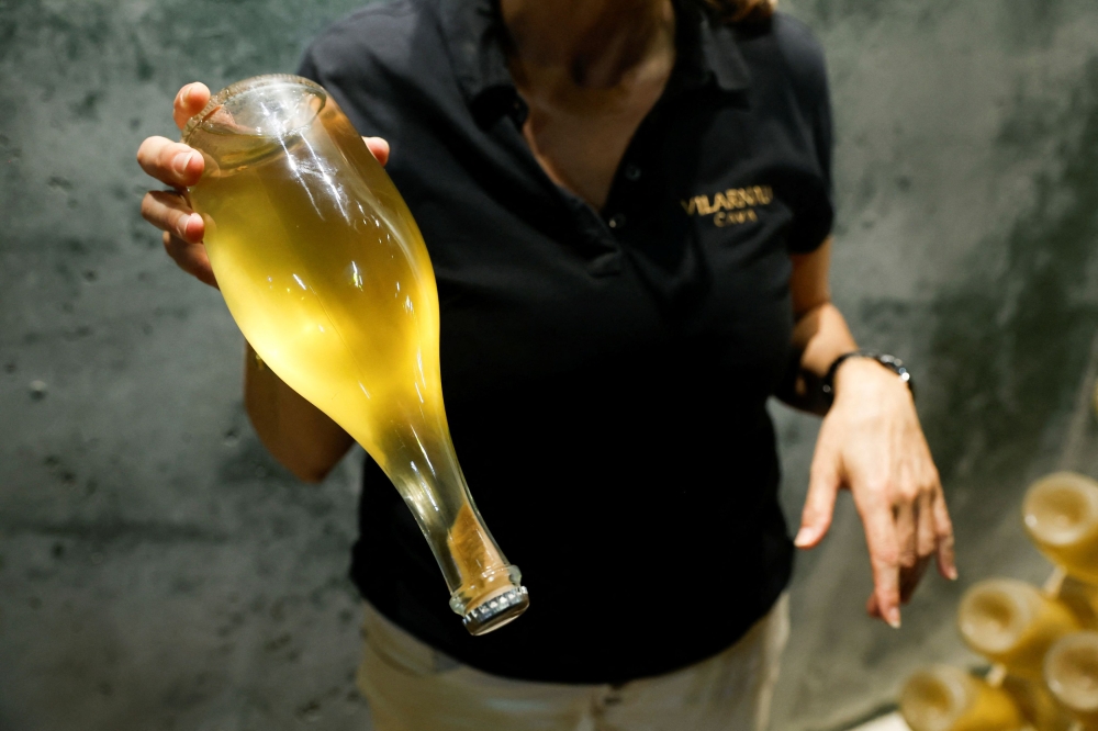 Oenologist Eva Plazas shows a bottle of Cava at Cava Vilarnau winery, in the Cava production area of Penedes, south of Barcelona July 12, 2023. — Reuters pic