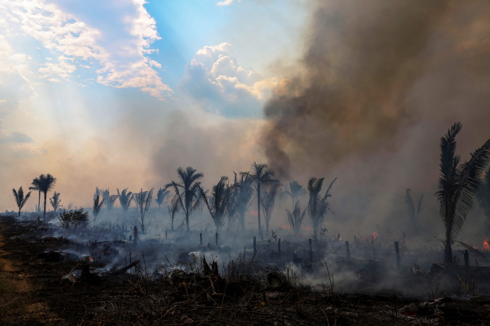 Deforestation in the Brazilian Amazon fell by more than 66 per cent last month from July 2022, officials said yesterday, crediting President Luiz Inacio Lula da Silva’s push to protect the world’s biggest rainforest. — AFP pic
