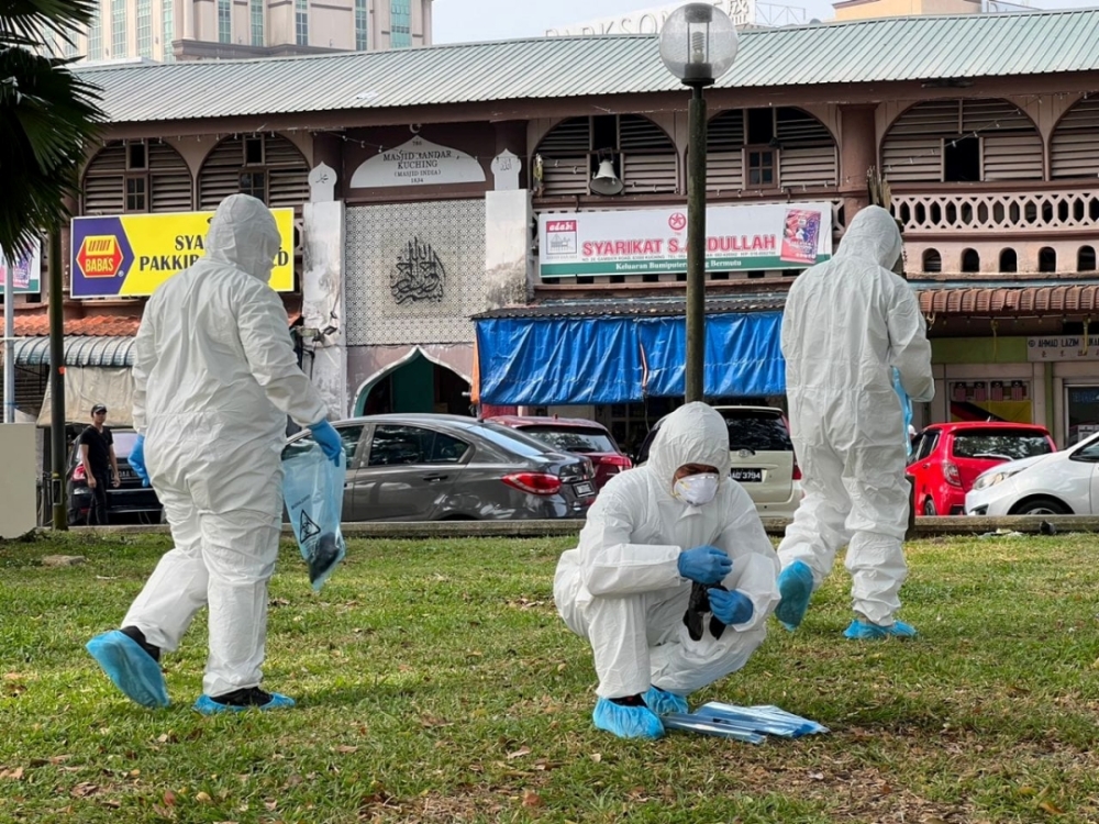 A handout photo shows investigators collecting the birds’ carcasses at the Kuching Esplanade yesterday. ― Borneo Post pic