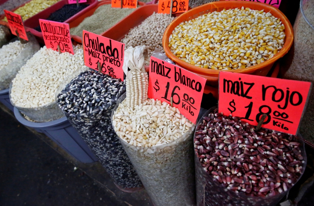 Sacks of different varieties of corn grain are displayed at a market in Mexico City, Mexico, May 19, 2017. — Reuters pic