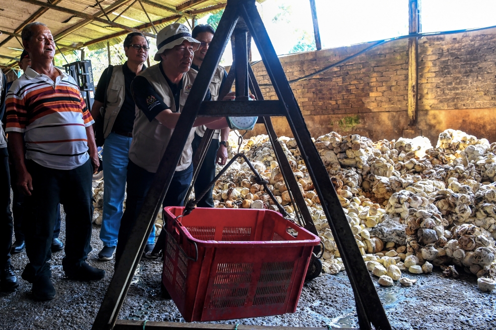 Deputy Prime Minister Datuk Seri Fadillah Yusof (3rd left) is seen during a visit to the Kampung Kuala Sawah Rubber Collection Centre in Rantau, Negeri Sembilan August 5, 2023. — Bernama pic