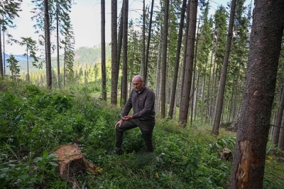 The fight to save 'sacred' Carpathian forests from loggers - Vimarsana News