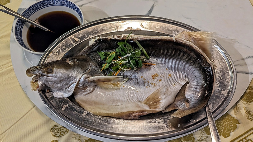 Half a patin, steamed with soy sauce served on the side, at FENIX Restaurant. — Pictures by Ethan Lau