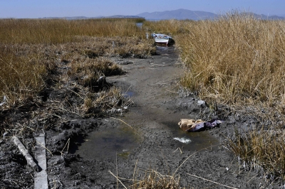 High in the Andes, Lake Titicaca's water levels fall to historic lows - Vimarsana News