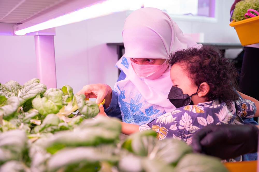 Families can learn together how vegetable farming is possible in the heart of the city, at Agroz EduFarm-in-City, AEON Alpha Angle. ― Picture courtesy of Agroz