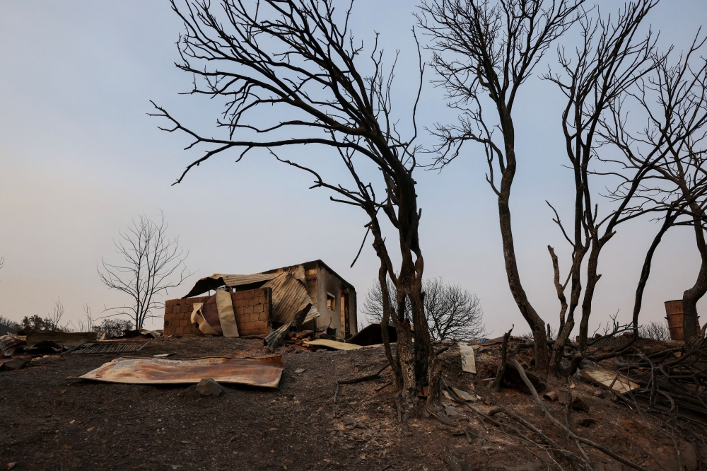 A view shows destroyed corral where the bodies of eighteen people, who authorities believe they were migrants, were found following a wildfire, near the village of Avantas in the region of Evros, Greece, August 23, 2023.— Reuters pic