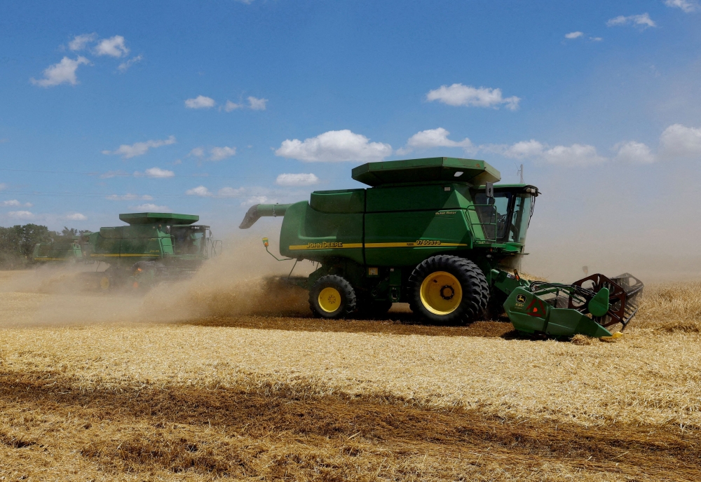 Combines harvest wheat in a field in the course of Russia-Ukraine conflict near the settlement of Nikolske in the Donetsk Region, Russian-controlled Ukraine, July 19, 2023. — Reuters pic