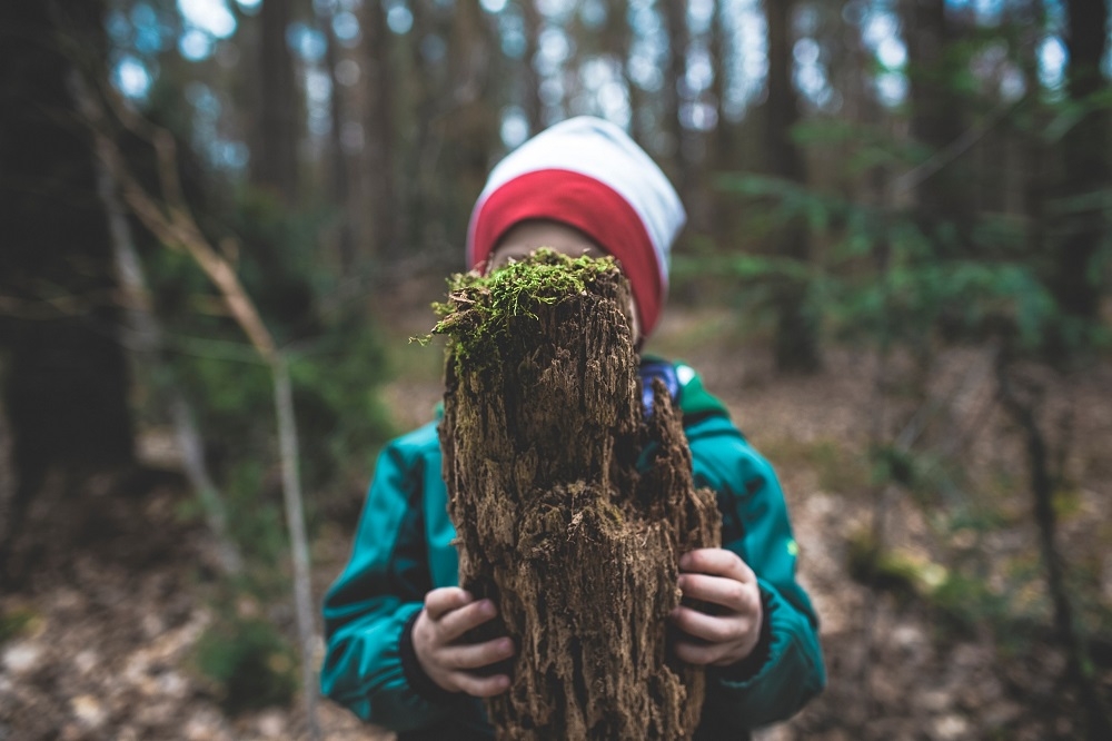 ‘States must ensure a clean, healthy and sustainable environment in order to respect, protect and fulfil children’s rights,’ the UN’s Committee on the Rights of the Child has said. — Markus Spiske/Unsplash/ETX Studio pic