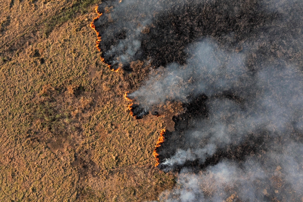 Aerial view of a forest fire in Porto Jofre, Pantanal, Mato Grosso state, Brazil, on September 5, 2021. Carbon credit schemes have long been dogged by charges of poor transparency, dodgy accounting practices, and in-built conflicts of interest. As wildfires spread across regions that include forests supporting carbon credit schemes, permanence has also become a concern. — AFP pic