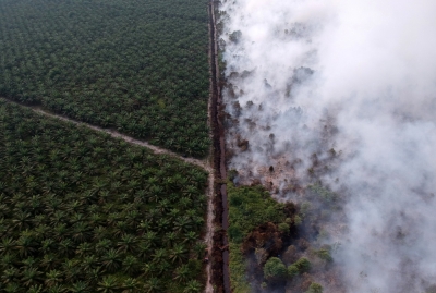 Nik Nazmi: Ministry issues letter for Malaysian companies in Indonesia on open burning prevention measures - Vimarsana News