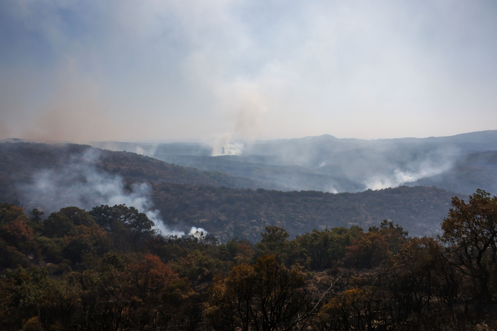 Summer wildfires are common in the Mediterranean nation but the government has said that extremely dry, windy and hot conditions that scientists link to climate change have made them worse this year, forcing thousands of evacuations. — Reuters pic