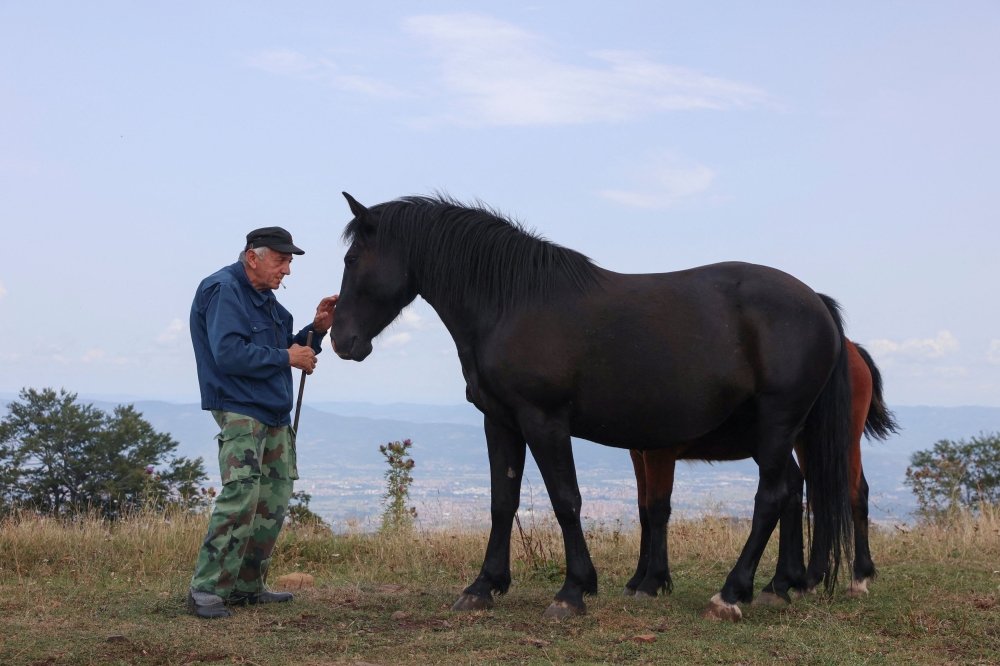 Slavljub Nikolic is seen with a wild horse on the mountain Stolovi in Serbia, August 31, 2023. — Reuters pic