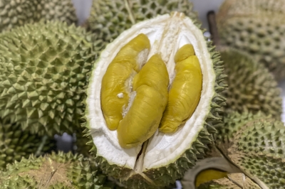 MayCham: Musang King durian's popularity helps promote Malaysian food, cultures in China - Vimarsana News