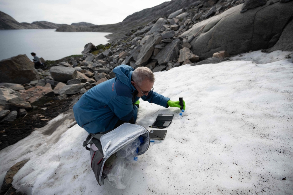 Director of Research at the French National Centre for Scientific Research (CNRS), biologist Eric Marechal, studies layers of algae in the snow near the glaciers around Milne Land in the Scoresby Sound Fjord, Eastern Greenland on August 14, 2023. — AFP pic