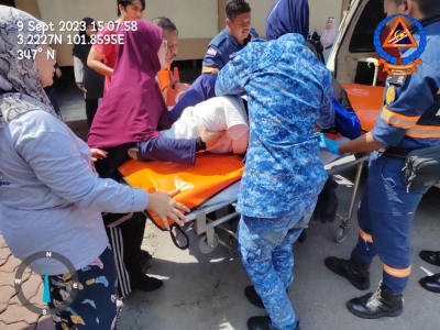 Civil Defence Force: 21 students, 10 teachers, stung by wasps while hiking at Sungai Lepoh in Hulu Langat - Vimarsana News