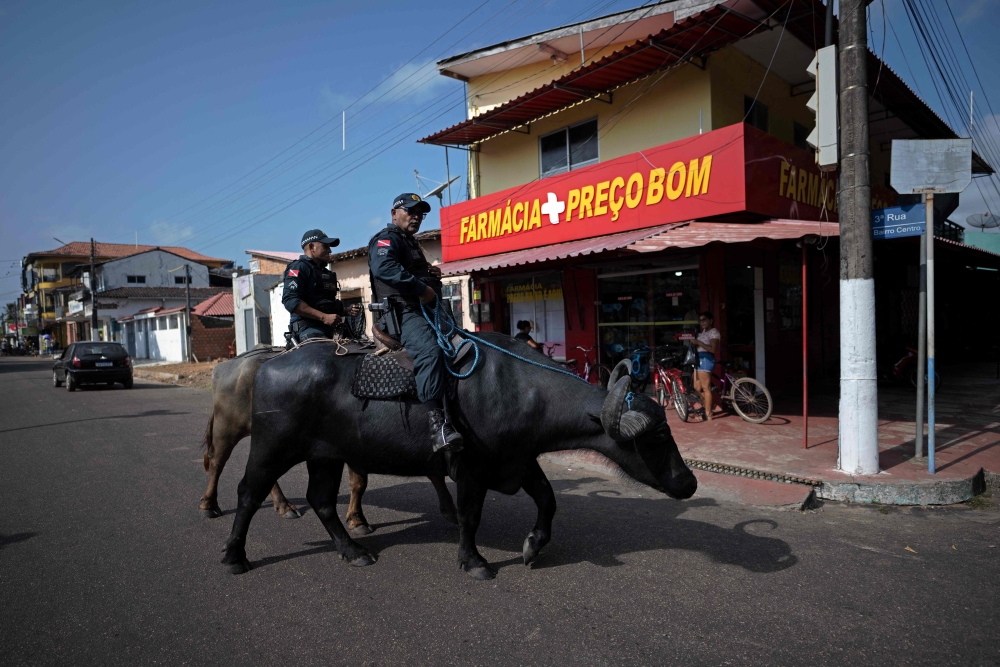 Military Police from the 8th Battalion patrol on Asian water buffalos in Soure, Marajo Island, Para State, Brazil, on September 5, 2023. — AFP pic
