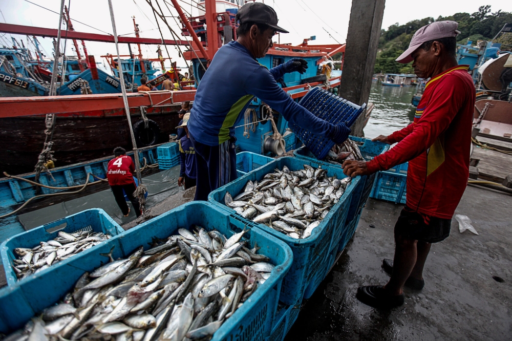 File picture of fishermen unloading their catch of the day at the Fisheries Development Authority dock in Batu Maung December 17, 2018. — Picture by Sayuti Zainudin